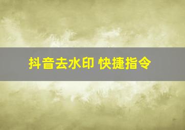 抖音去水印 快捷指令